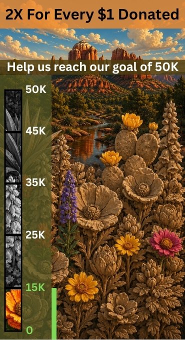 Campaign artwork: 2X for every $1 donated. Help us reach our goal of $50K. Sandstone-carved flowers bloom into color as the thermometer rises from $0 to $50K.
