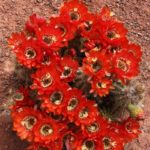 Photo by Gerry Snyder