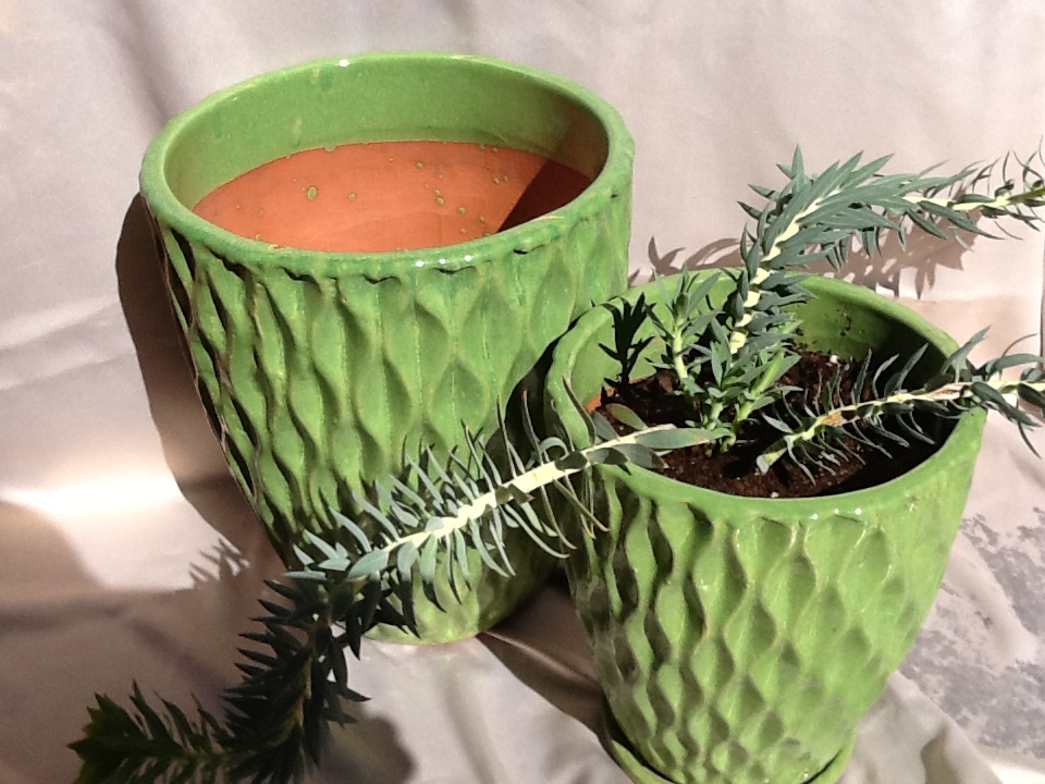 Sedona Ace Hardware pots plant) Keep Sedona Beautiful