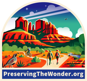 Preserving the Wonder logo