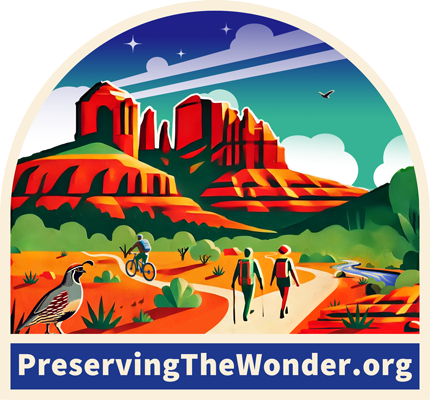 Preserving the Wonder logo