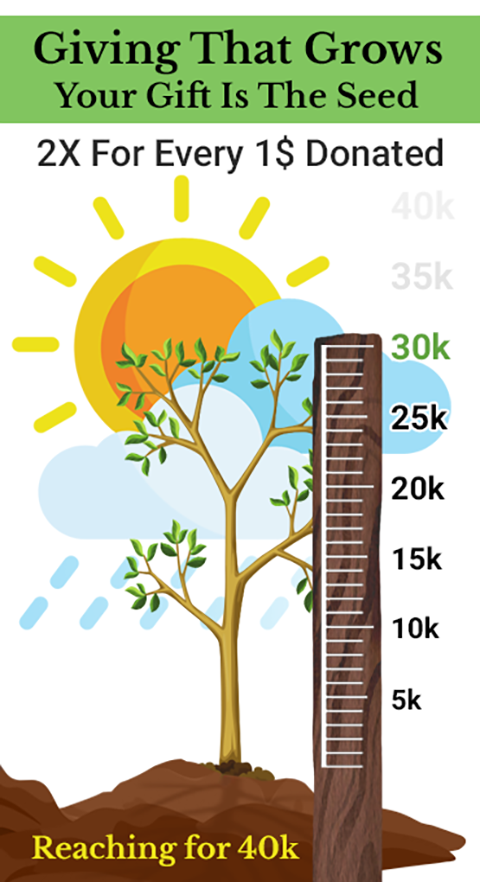 giving-that-grows-30k-_2025